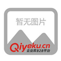 供應各種規(guī)格工業(yè)鏈條